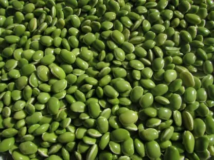 Bean Fresh Produce Software