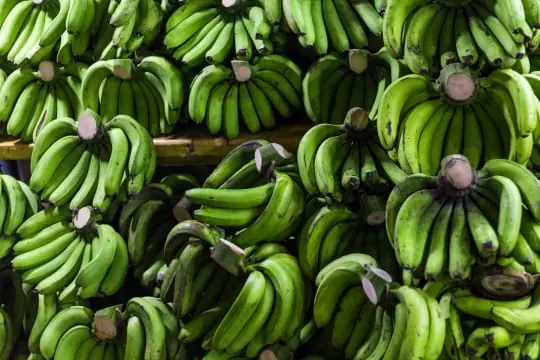 Banana packing software for Australian packers