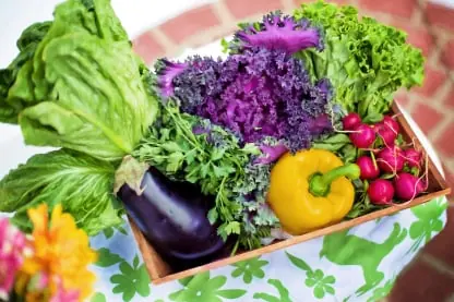 Lettuce & leafy greens packing software for Australian packers 3