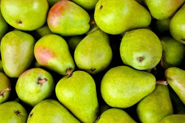 Pear packing software for Australian packers