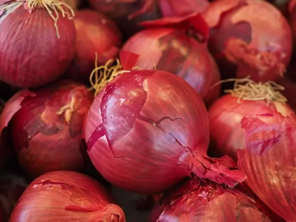 Onion packing software for Australian packers 2