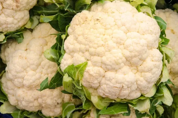 Cauliflower packing software for Australian packers