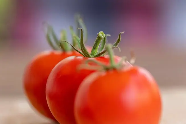 Tomato packing software for Australian packers 3