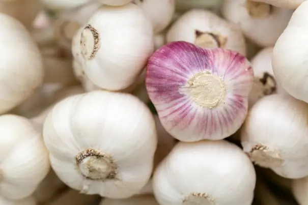 Garlic packing software for Australian packers