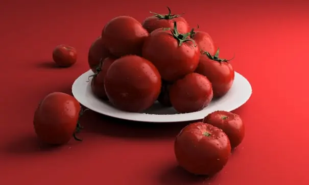 Tomato packing software for Australian packers 2