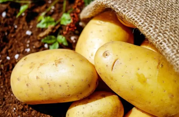Potato packing software for Australian packers
