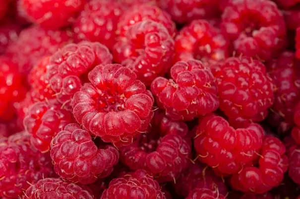 Fresh produce packing solutions for Australia 3