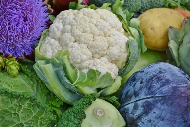 Cauliflower packing software for Australian packers 3