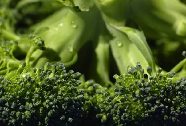 Broccoli packing software for Australian packers 3