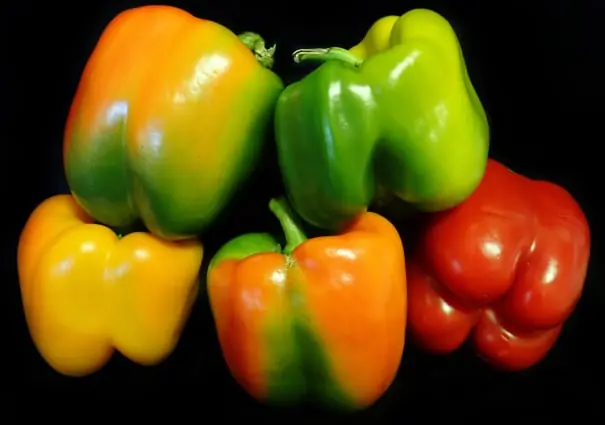 Capsicum packing software for Australian packers 2