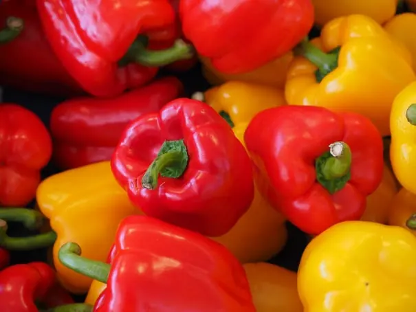 Capsicum packing software for Australian packers