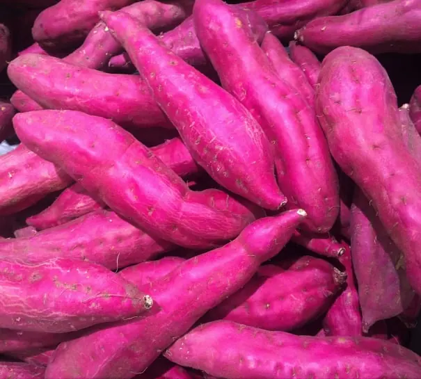 Potato packing software for Australian packers 3