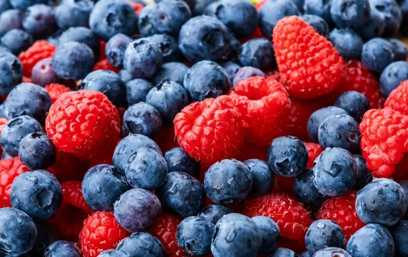 Australian fruit quality inspection app