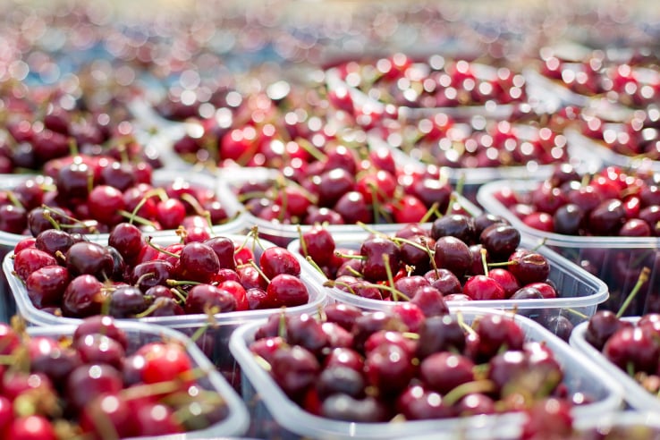 Print traceability labels fresh produce