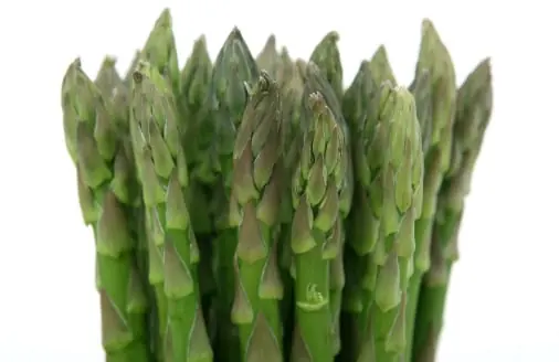 Asparagus quality inspection app – sample 2