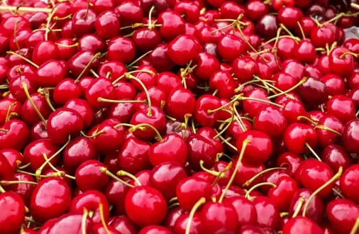 Cherry quality inspection app