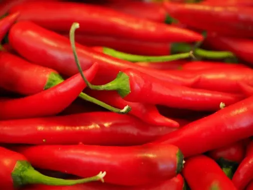 Pepper & capsicum quality inspection app – sample 3