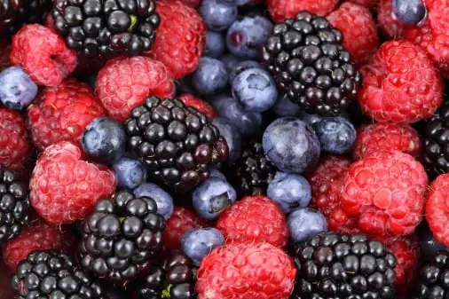 Berry quality inspection app