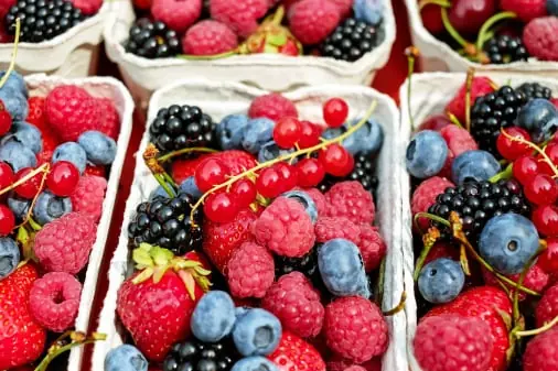 Berry quality inspection app – sample 2