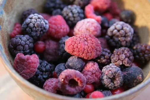 Berry quality inspection app – sample 2