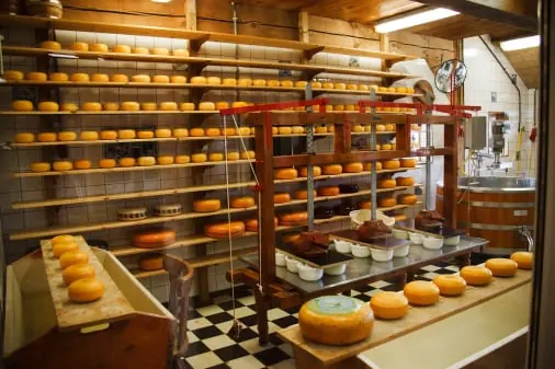 Food service quality management app