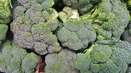 Broccoli quality inspection app