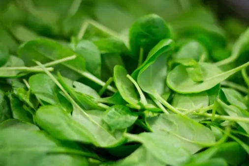 Spinach quality inspection app