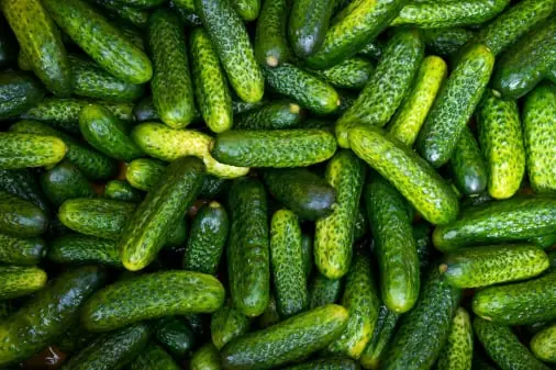 Cucumber quality inspection app – sample 2