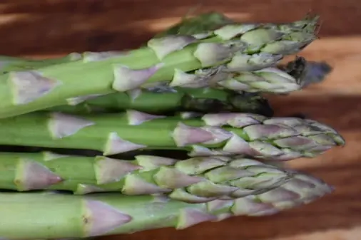 Asparagus quality inspection app – sample 3