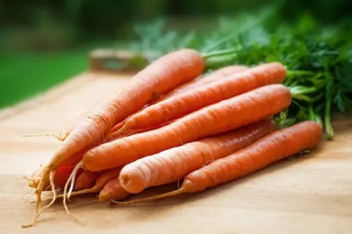 Carrot quality inspection app