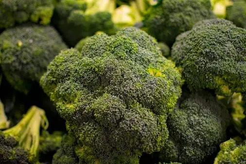 Broccoli quality inspection app 