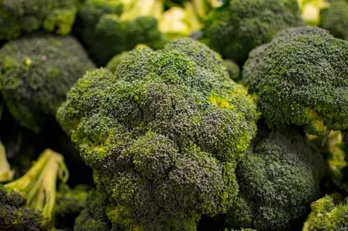 Broccoli quality inspection app – sample 2