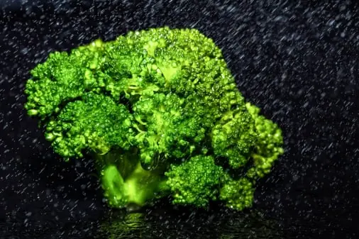 Broccoli quality inspection app – sample 2
