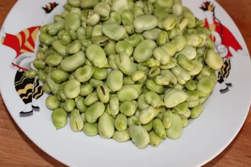 Bean quality inspection app – sample 2