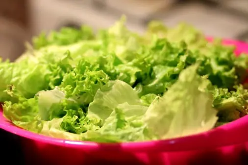 Lettuce quality inspection app – sample 3
