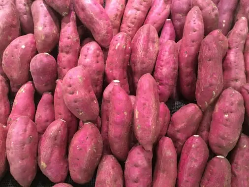Potato quality inspection app – sample 2