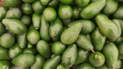 Avocado quality inspection app – sample 2