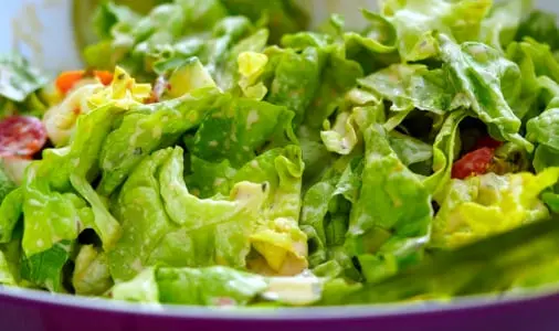 Salad quality inspection app