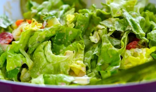 Salad quality inspection app – sample 2