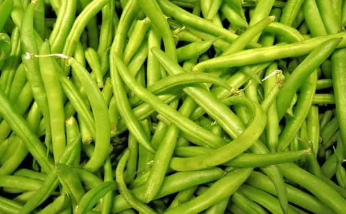 Bean quality inspection app