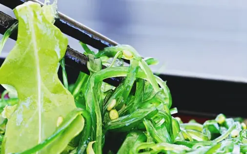 Salad quality inspection app