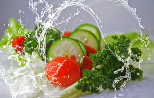 Leafy greens quality inspection app – sample 3