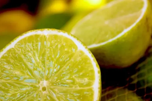 Citrus quality inspection app