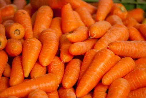 Carrot quality inspection app – sample 2
