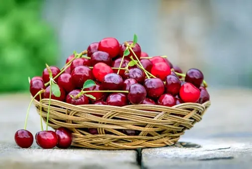 Cherry quality inspection app – sample 2
