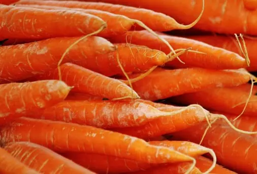 Carrot quality inspection app – sample 3