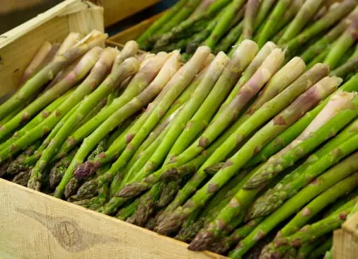 Asparagus quality inspection app – sample 2