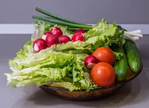 Leafy greens quality inspection app – sample 2