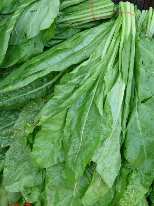 Spinach quality inspection app – sample 2