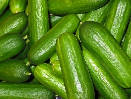 Cucumber quality inspection app – sample 3